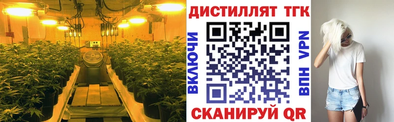mega рабочий сайт  купить наркоту  Азнакаево  ТГК гашишное масло 